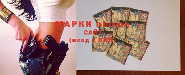 хмурый Арсеньев