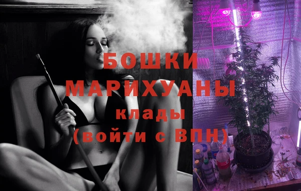 хмурый Арсеньев