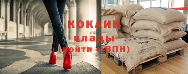 ПСИЛОЦИБИНОВЫЕ ГРИБЫ Алзамай